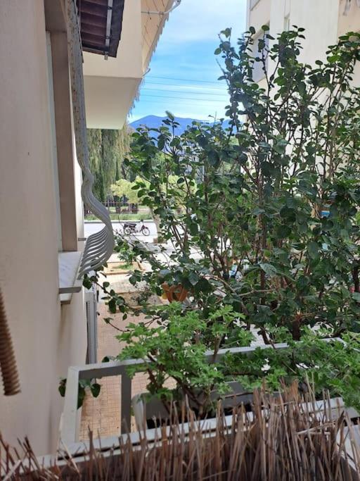 Δίπλα Στο Πάρκο Kalamata Exterior foto